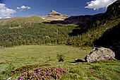 Pizzo Val Grande, una propaggine meridionale del Monte Leone.